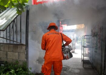 El dengue ha cobrado la vida de 6 menores de edad en el país