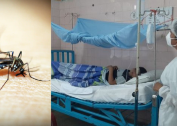 Más de 9 millones de casos de dengue en el continente Americano han sido reportado por la OPS