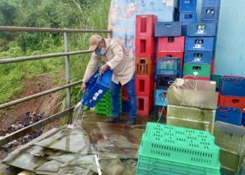 Panamá registra más de 8 mil casos de Dengue y al menos 20 fallecidos