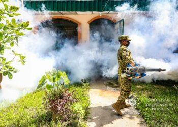 Gobierno realiza este sábado diversas acciones contra el dengue en distintos puntos del país