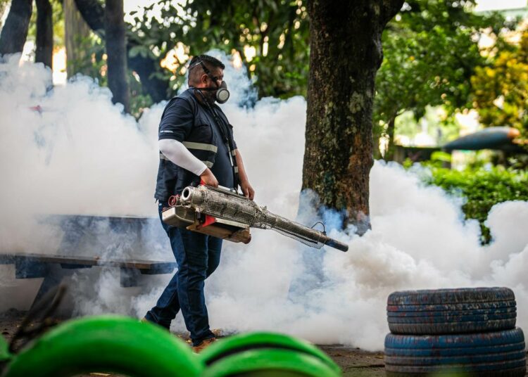 Minsal Confirma Tercer Fallecido Por Dengue Y Hace Un Llamado A La