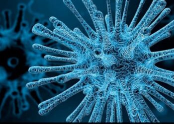 Un virus poco conocido avanza y deja decenas de muertos en la India