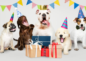 Hoy se celebra el Día Mundial del Perro: Historia, origen y por qué es cada 21 de julio