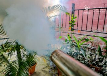 Jornada de fumigación para combatir el dengue llega a San Salvador Este