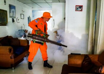 Reportan incremento en casos de dengue en el país: 7 pacientes están en estado delicado