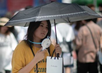 Japón en alerta por un calor sofocante de hasta 39 grados C
