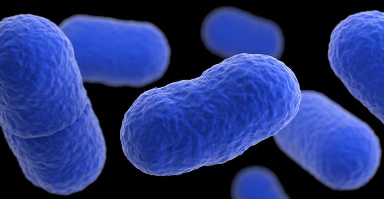 Dos muertos y 28 infectados por brote de listeriosis en EE.UU.