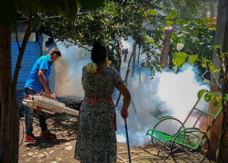 De 27 casos de dengue confirmados en el país, más de la mitad son niños