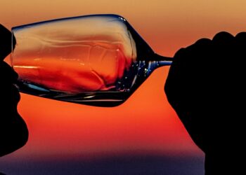 Beber con moderación no alarga la vida, según nuevo estudio