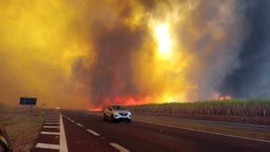 Maximum alert in 30 cities in Brazil due to fires – Diario La Página
 – 2024-08-26 09:57:54