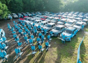 DOM redobla esfuerzos para combatir el dengue en el país