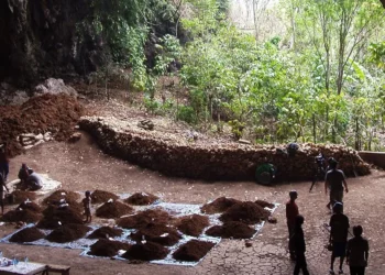 El hallazgo de pequeños huesos revela el misterioso origen de los ‘hobbits’ de Indonesia