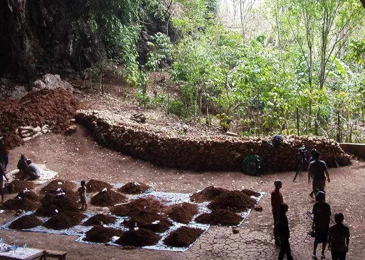 El hallazgo de pequeños huesos revela el misterioso origen de los ‘hobbits’ de Indonesia