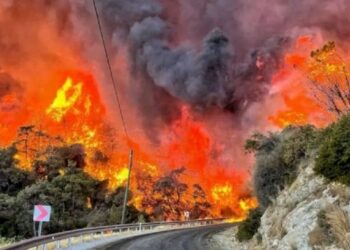 Incendios forestales en oeste de Turquía amenazan viviendas y monumentos de la batalla de Gallipoli