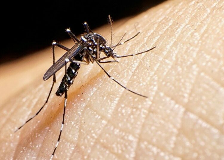 Fallece otro menor de edad por Dengue en El Salvador