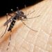 Fallece otro menor de edad por Dengue en El Salvador