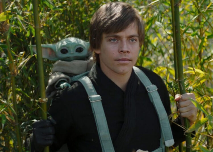 Star Wars’: Esta es la verdadera razón por la que Luke Skywalker dejó que Grogu abandonara el entrenamiento Jedi