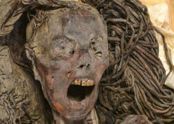 Momia egipcia de «la mujer que grita » habría muerto en agonía