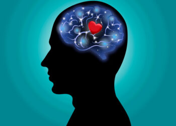 Revelan dónde reside el amor y cómo se activa en el cuerpo