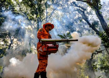 Gobierno intensifica la lucha contra el dengue