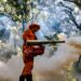 Gobierno intensifica la lucha contra el dengue