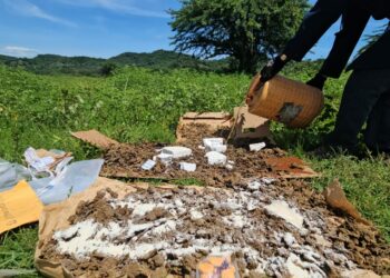 Autoridades destruyen marihuana y cocaína incautada entre 2018 y 2023