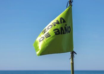 Protección Civil despliega 250 guardavidas por 28 playas del país en periodo vacacional