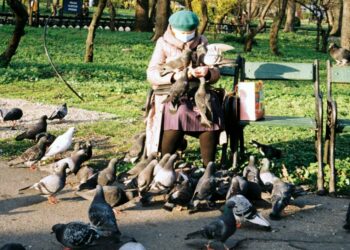 Alimentar palomas en Hong Kong será sancionado con cárcel