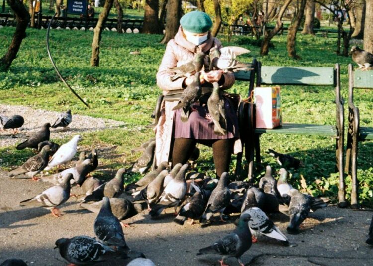 Alimentar palomas en Hong Kong será sancionado con cárcel