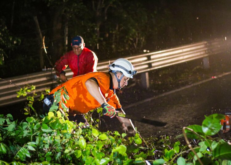 MARN advierte de caída de árboles e inundaciones para las próximas 24 horas debido a intensas tormentas