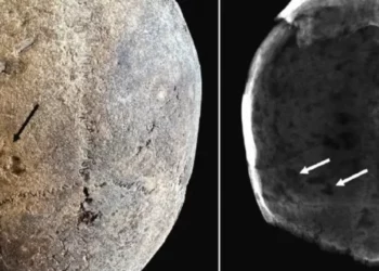 Cocaína en momias revelan consumo en Europa en el siglo XVII