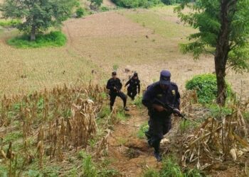 Policía tras la pista del asesino de una mujer de 70 años en San Miguel