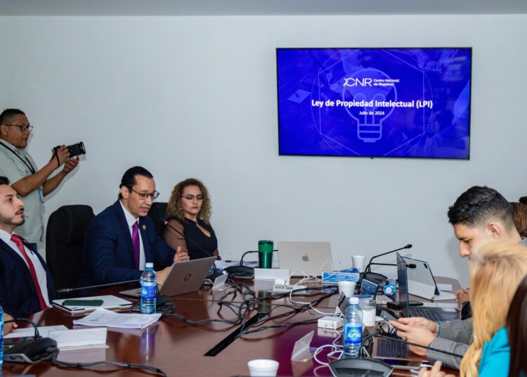 Gobierno creará el Instituto Salvadoreño de la Propiedad Intelectual