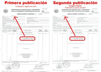 El Faro habría cometido delito de falsedad ideológica al publicar falso documento presuntamente firmado por exministro Anliker