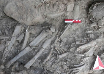 Hallan en Turquía un entierro sellado de 12.000 años de antigüedad