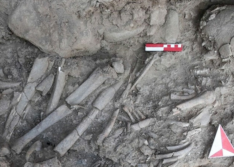 Hallan en Turquía un entierro sellado de 12.000 años de antigüedad