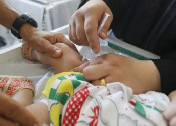OMS: Israel permitirá por tres días vacunar contra la polio en Gaza