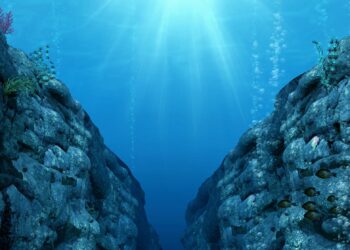 Resuelven un enigma de la Fosa de las Marianas