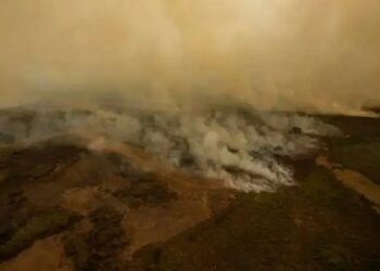 Incendios arrasan con casi 9.000 hectáreas forestales en Ecuador