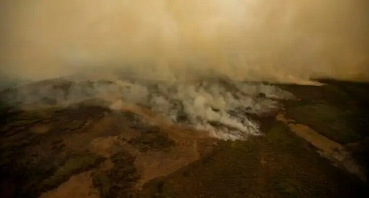 Incendios arrasan con casi 9.000 hectáreas forestales en Ecuador