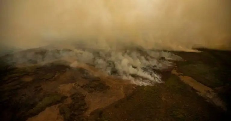 Fires ravage almost 9,000 hectares of forest in Ecuador – Diario La Página
 – 2024-09-05 01:51:54