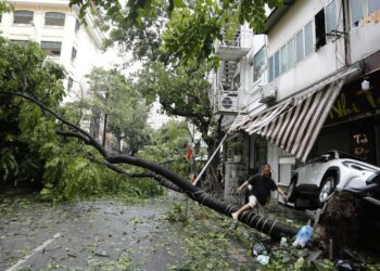 Aumenta a 14 el número de muertos por tifón Yagi en Vietnam