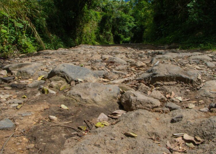 DOM inicia intervención de arteria vial en Verapaz, San Vicente Sur
