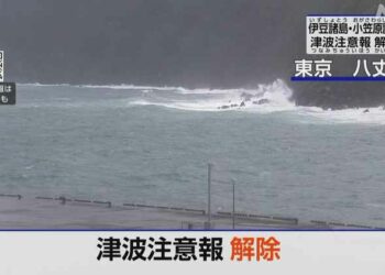 Tsunami alcanza islas al sur de Tokio tras terremoto de 5,9 grados