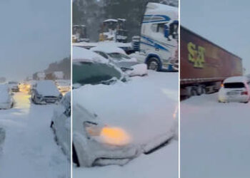 VIDEOS: Inusual nevada cae de sorpresa en África provocando una primavera blanca
