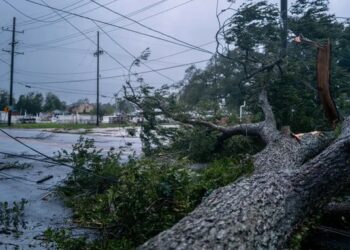 Francine azotó Luisiana y dejó a más de 400.000 de residentes sin electricidad