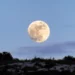 ¿Por qué la Luna a veces se ve tan grande?