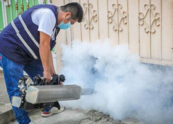 Ministro de Salud confirma novena víctima mortal a causa del dengue