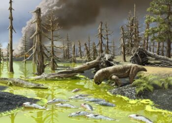 La Gran Mortandad acabó con el 90% de la vida en la Tierra hace 252 millones de años tiene una nueva teoría podría explicar por qué