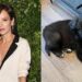 Lily Allen recibe ‘amenazas de muerte’ e insultos tras devolver a su perro al refugio de animales